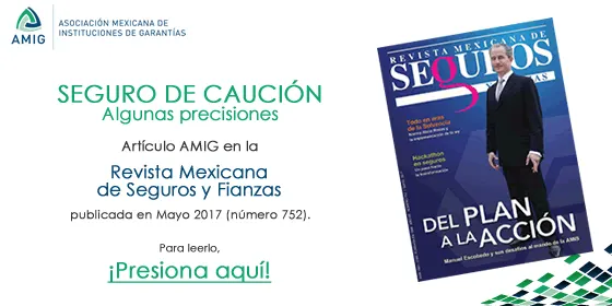 AMIG en RMSF - Mayo 2017